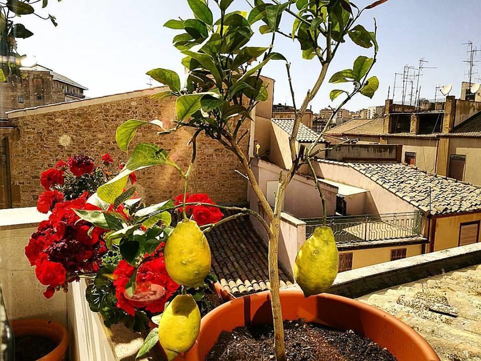 Hotel Plaza Caltanissetta Bagian luar foto